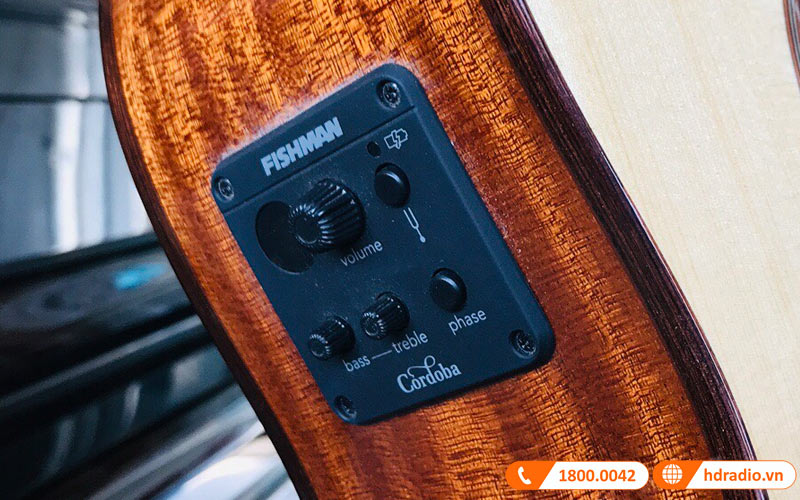 Đàn Guitar Cordoba C5-CE, guitar classic-4