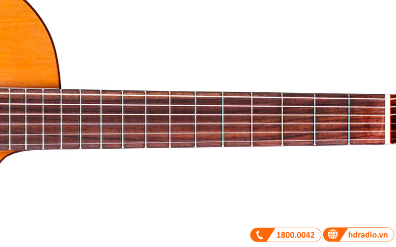 Đàn Guitar Cordoba C5-CE, guitar classic-8