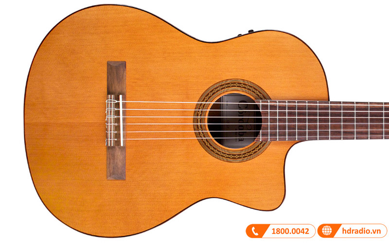 Đàn Guitar Cordoba C5-CE, guitar classic-9