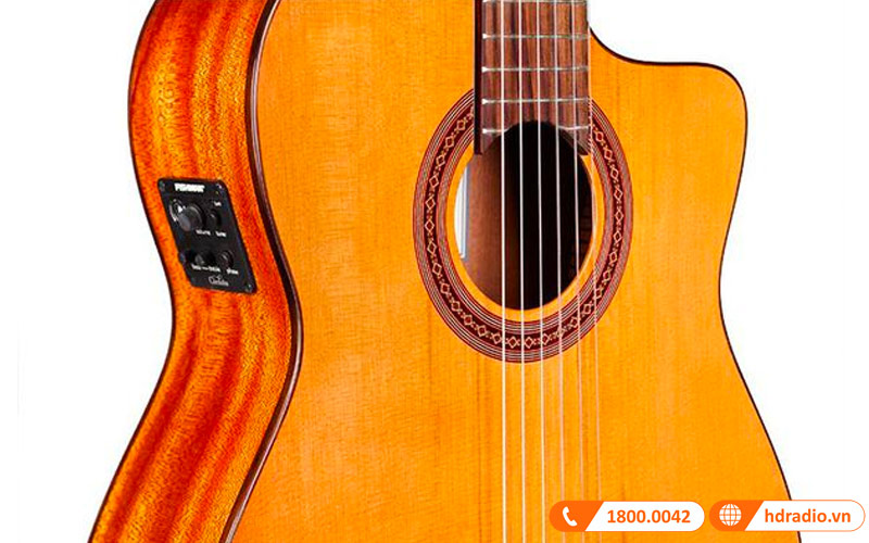 Đàn Guitar Cordoba C5-CE, guitar classic-11
