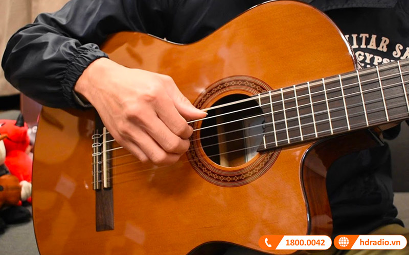 Đàn Guitar Cordoba C5-CE, guitar classic-13