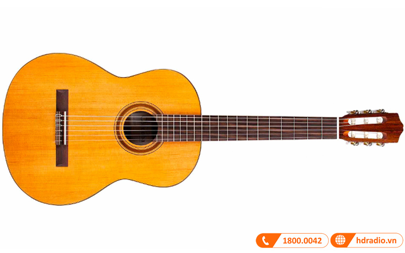 Đàn Guitar Cordoba C5, classic guitar-8