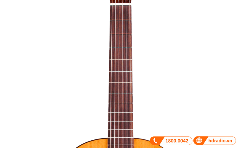 Đàn Guitar Cordoba C5, classic guitar-5