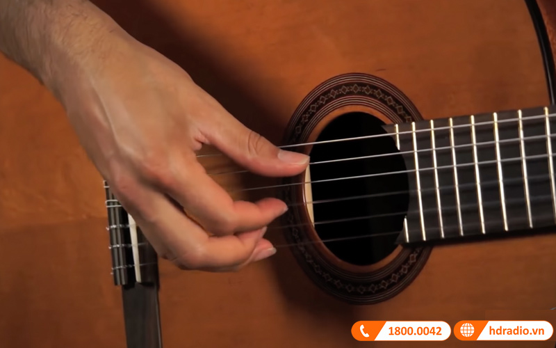 Đàn Guitar Cordoba C5, classic guitar-11