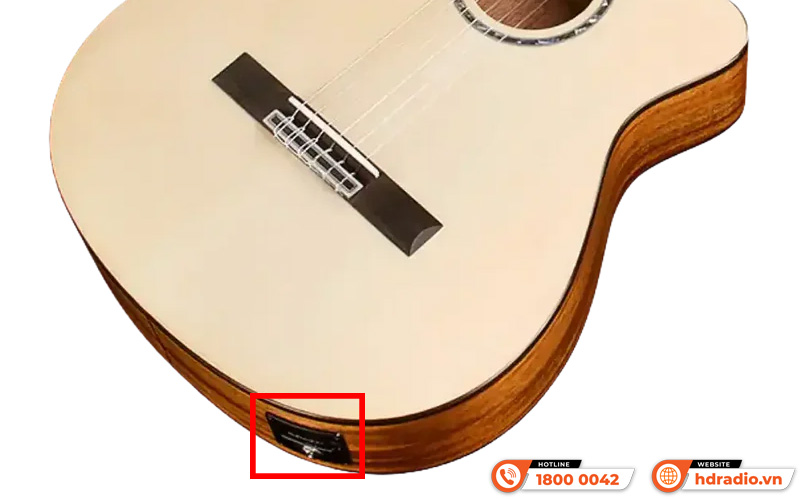 Đàn Guitar Cordoba Fusion 5