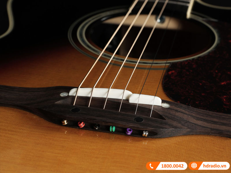 Xem thêm: Bảng giá các mẫu Đàn Guitar Takamine Chính Hãng, Giá Tốt!