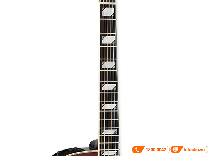 Đàn Guitar Takamine EF250TK Toby Keith Signature, guitar classic electric-5