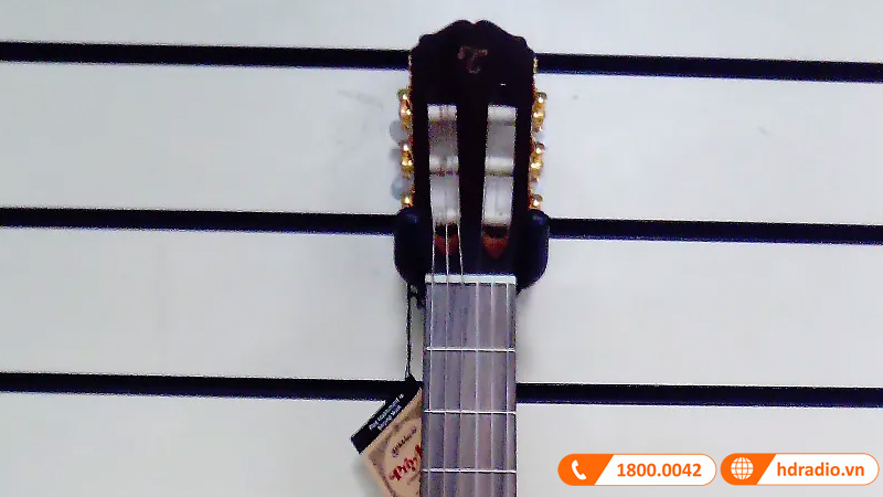 Đàn Guitar Takamine GC5-NAT, guitar classic-4