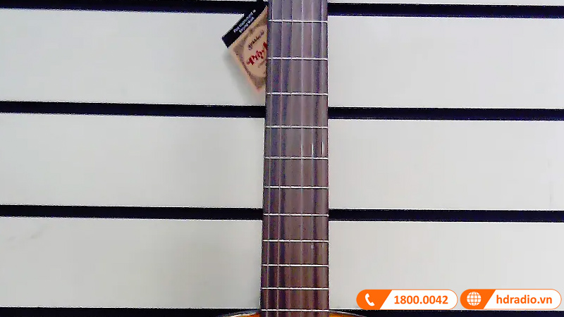 Đàn Guitar Takamine GC5-NAT, guitar classic-5