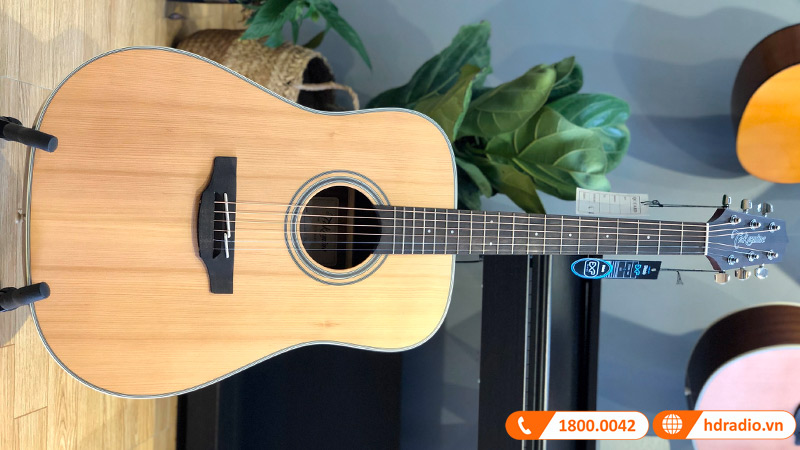 Đàn Guitar Takamine GD20-NS, guitar acoustic-2