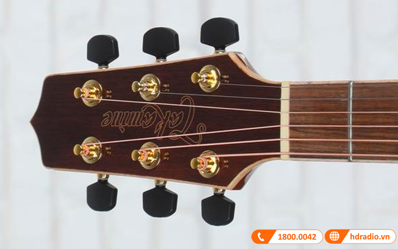 Đàn Guitar Takamine GY93, guitar accoustic-4
