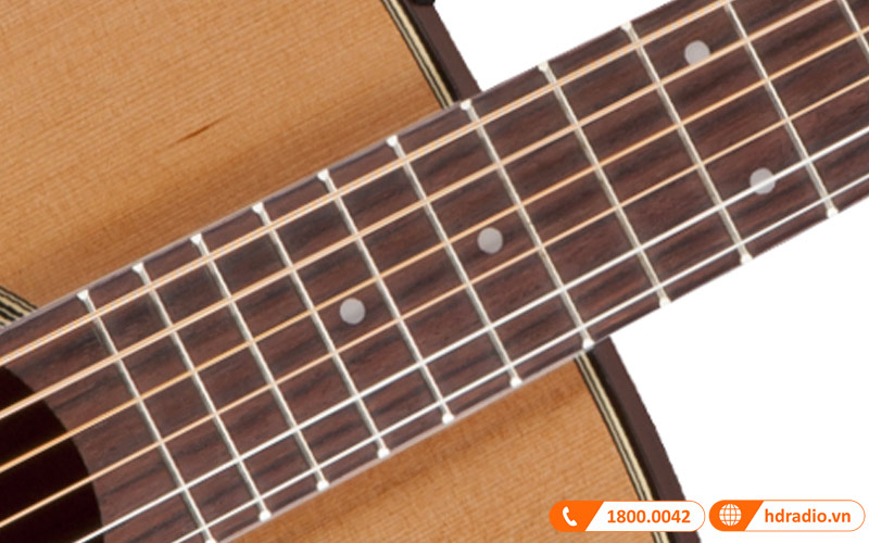 Đàn Guitar Takamine P1DC, guitar acoustic eclectric-6