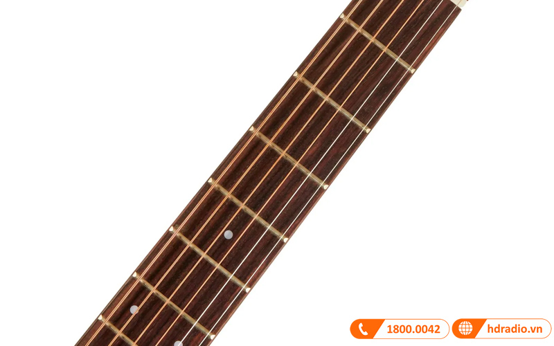 Đàn Guitar Takamine P1DC, guitar acoustic eclectric-8