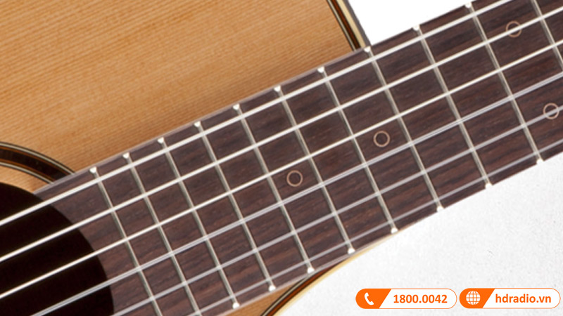 Đàn Guitar Takamine P3FCN, guitar classic-6