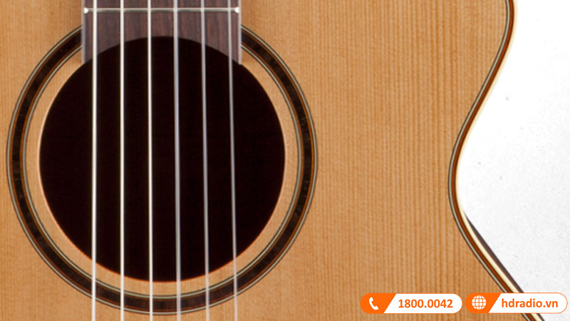 Đàn Guitar Takamine P3FCN, guitar classic-9