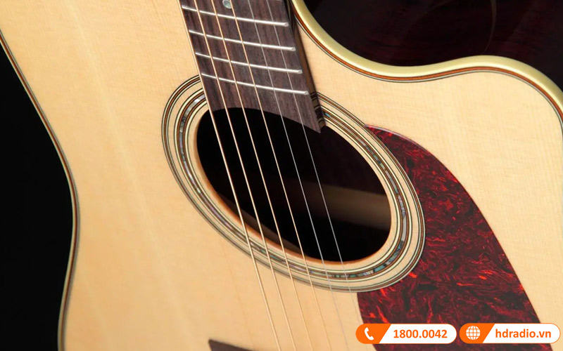 Đàn Guitar Takamine P5DC, guitar acoustic eclectric-3