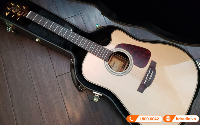 Đàn Guitar Takamine P5DC, guitar acoustic eclectric-4
