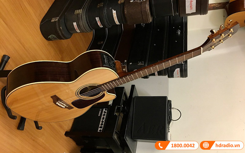 Đàn Guitar Takamine P5NC, guitar acoustic eclectric-10