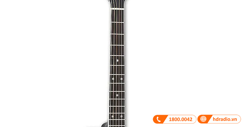 Đàn Guitar Takamine P6NC