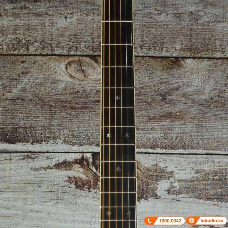 Đàn Guitar Takamine P7D, guitar classic electric-4