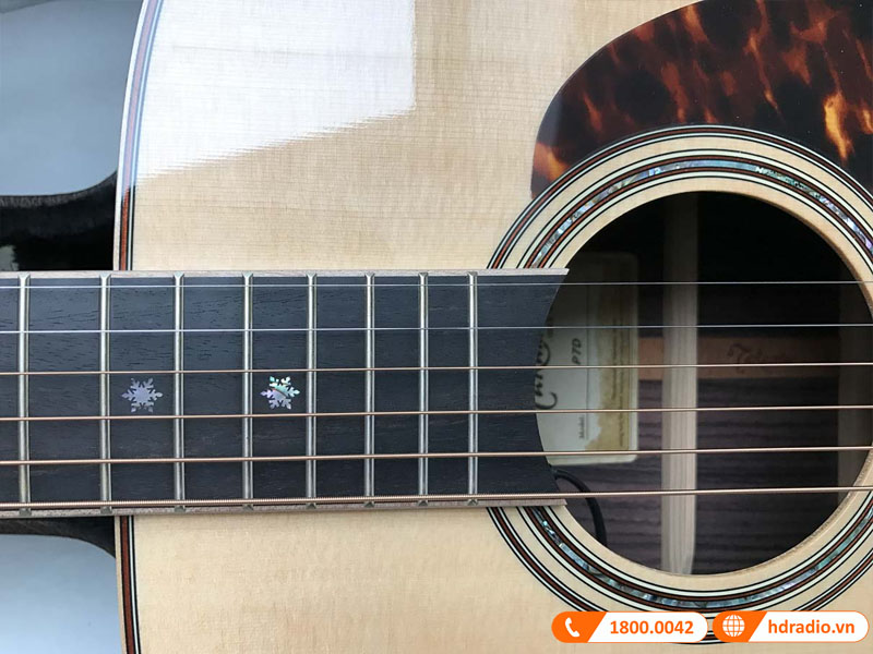 Đàn Guitar Takamine P7D