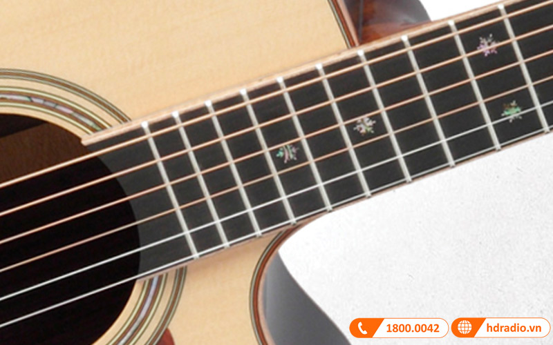 Đàn Guitar Takamine P7DC, guitar acoustic điện-8