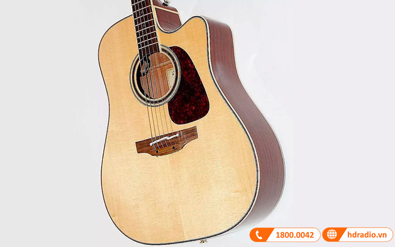 Đàn Guitar Takamine PD4C, guitar acoustic eclectric-2