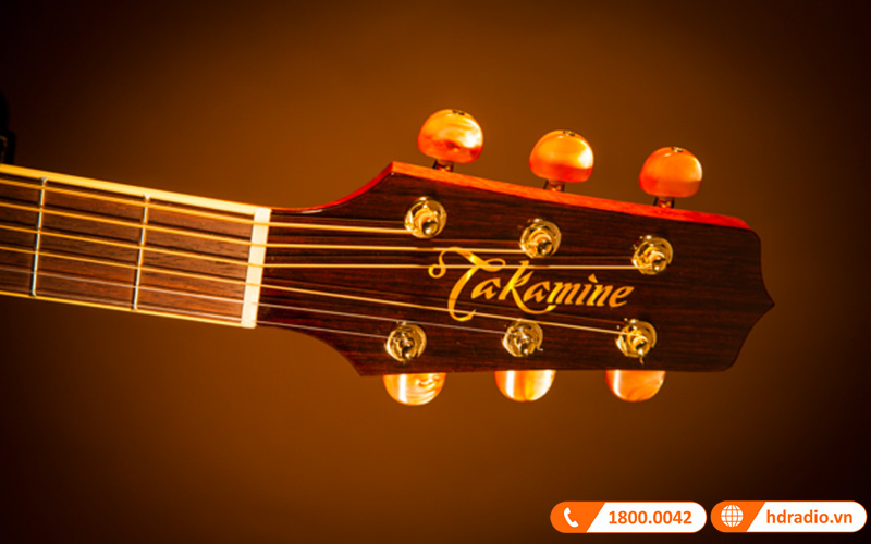 Đàn Guitar Takamine PD4C, guitar acoustic eclectric-7