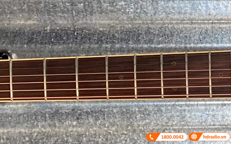 Đàn Guitar Takamine PD4C, guitar acoustic eclectric-13