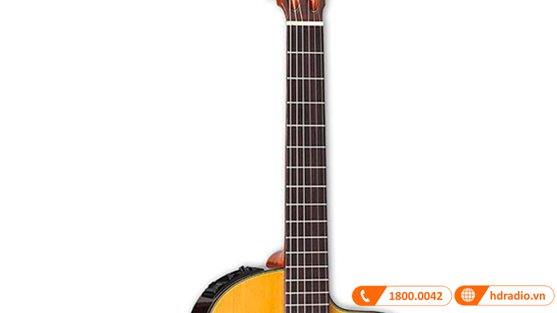Đàn Guitar Takamine TC132SC, guitar classic-7