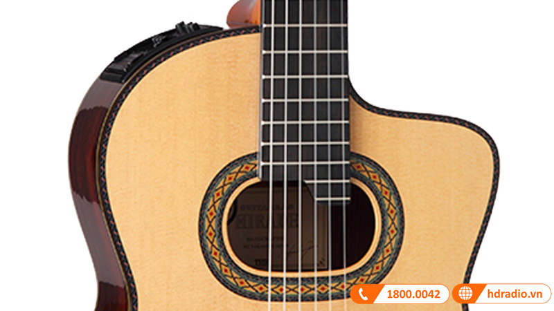 Đàn Guitar Takamine TH90, guitar classic-9