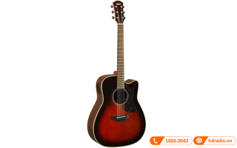 Đàn Guitar Yamaha A1R
