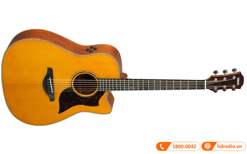 Đàn Guitar Yamaha A3M ARE