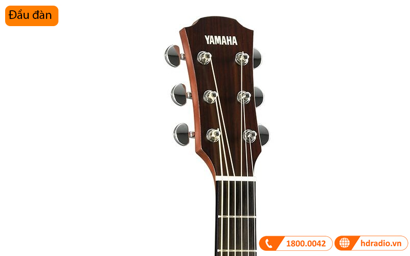 Đàn Guitar Yamaha A3M ARE