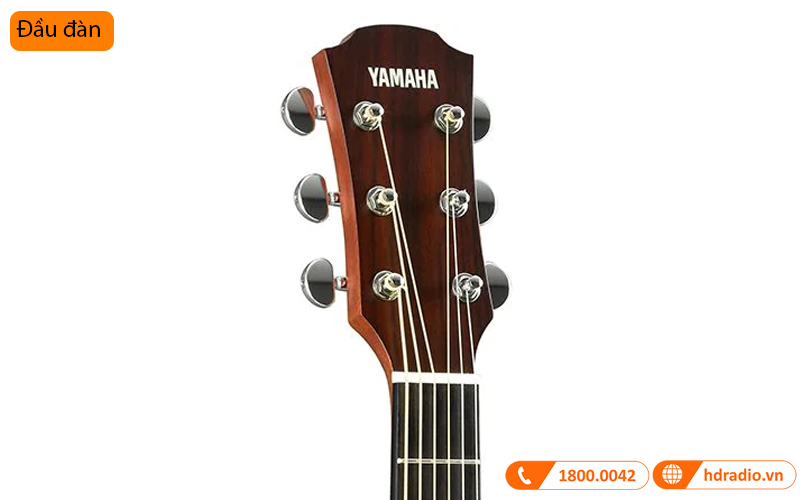 Đàn Guitar Yamaha A3R ARE