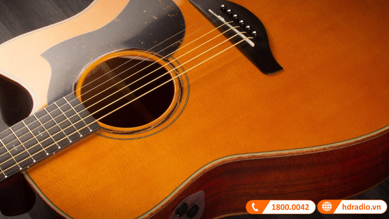 Đàn Guitar Yamaha A5M ARE