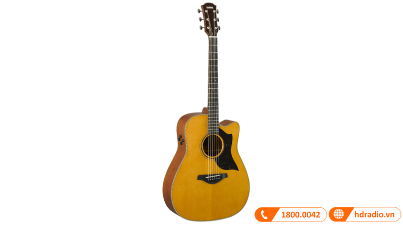 Đàn Guitar Yamaha A5M ARE