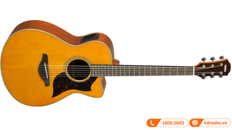 Đàn Guitar Yamaha AC1M