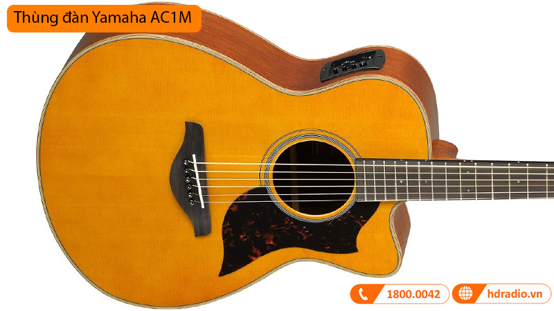 Đàn Guitar Yamaha AC1M