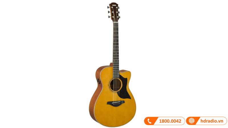 Đàn Guitar Yamaha AC5M ARE