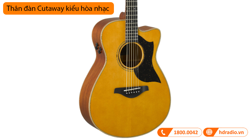 Đàn Guitar Yamaha AC5M ARE