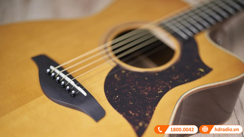 Đàn Guitar Yamaha AC5M ARE