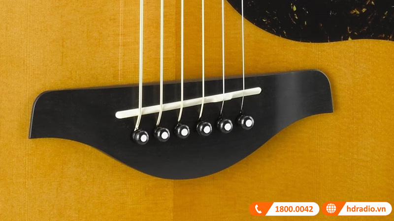 Đàn Guitar Yamaha AC5M ARE