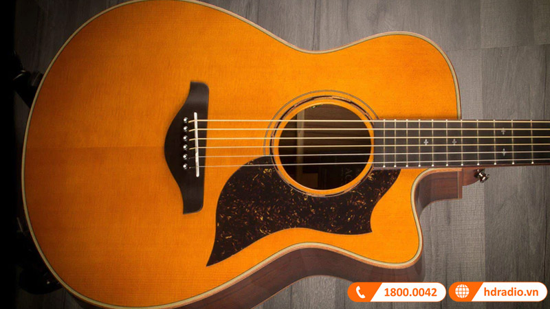 Đàn Guitar Yamaha AC5M ARE