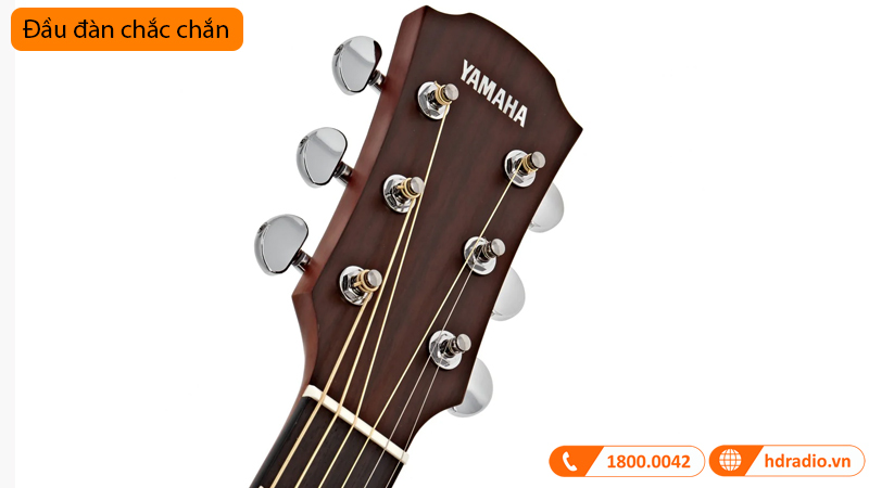 Đàn Guitar Yamaha AC5M ARE