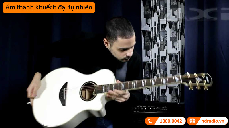 Đàn Guitar Yamaha APX1000