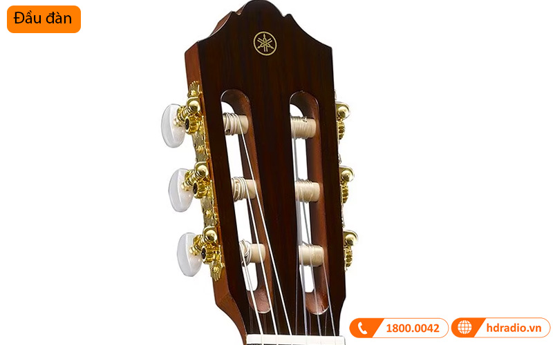 Đàn Guitar Yamaha CG-TA