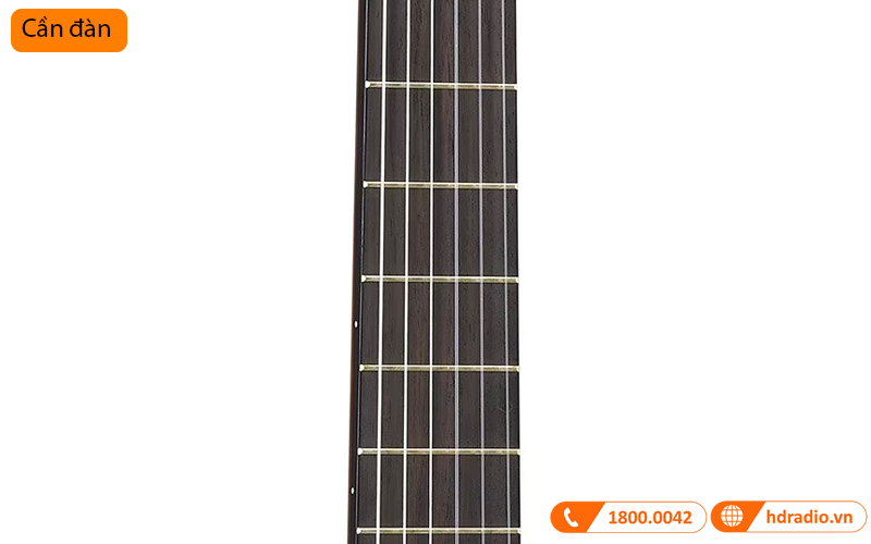 Đàn Guitar Yamaha CG-TA