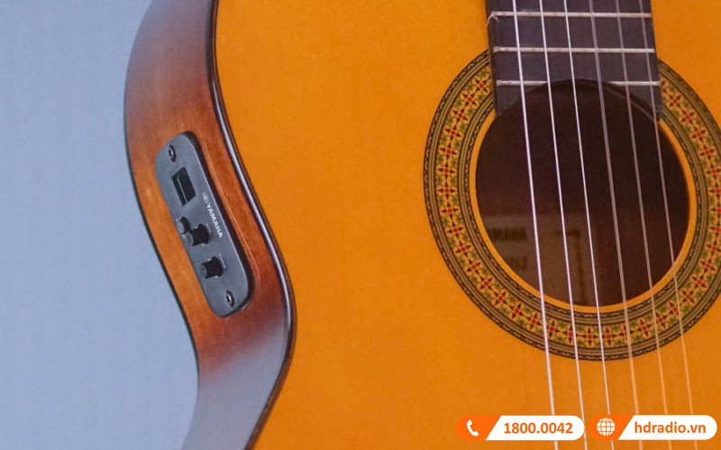 Đàn Guitar Yamaha CGX102-6