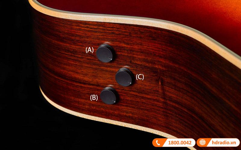 Đàn Guitar Yamaha FG-TA